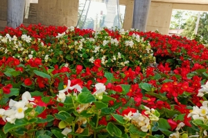 9. CUMHURBAŞKANIMIZ SÜLEYMAN DEMİREL\\\\\\\\\\\\\\\\\\\\\\\\\\\\\\\\\\\\\\\\\\\\\\\\\\\\\\\\\\\\\\\\\\\\\\\\\\\\\\\\\\\\\\\\\\\\\\\\\\\\\\\\\\\\\\\\\\\\\\\\\\\\\\\'İN ANIT MEZARINA ZİYARETTE BULUNDUK