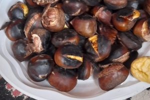 KAYI TEPESİ BURDUR GÖLÜ SEYİR ETKİNLİĞİ