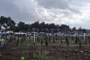 İZMİR ŞUBE BAŞKANLIĞI FİDAN DİKİMİ YAPTI