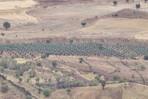 ŞIRNAK AFADER ÜYEMİZİN AİLECE VATAN SEVGİLERİ