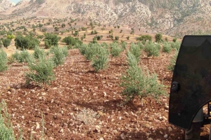 ŞIRNAK AFADER ÜYEMİZİN AİLECE VATAN SEVGİLERİ