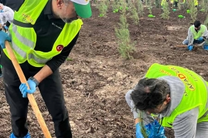 İZMİR ŞUBE BAŞKANLIĞI FİDAN DİKİMİ YAPTI