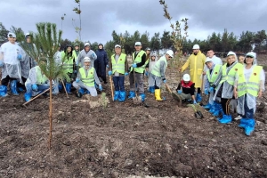 İZMİR ŞUBE BAŞKANLIĞI FİDAN DİKİMİ YAPTI