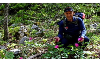 GENEL BAŞKAN ORMAN HAFTASI MESAJI YAYINLADI