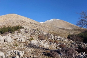 SAV BELEDİYE BAŞKANLIĞI İLE AFETLERE HAZIRLIK KONFERANSI YAPILDI