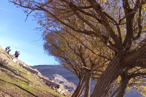 KAPICAK DAĞI ZİRVE