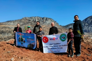 ÇANDIR FİDAN DİKİMİ