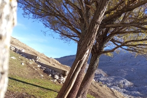 KAPICAK DAĞI ZİRVE