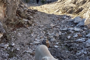 KOVADA AKBELEN ZİRVE BAYRAK DİKİM ETKİNLİĞİ