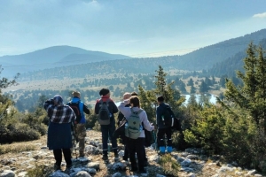 SÜTÇÜLER ADADA ANTİK KENTİ KRAL YOLU