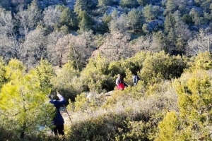 SÜTÇÜLER ADADA ANTİK KENTİ KRAL YOLU