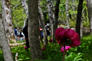 KASNAK MEŞE ORMANI EĞİTİM AMAÇLI ETKİNLİK TAMAMLANDI