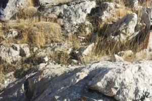 KAPICAK DAĞI ZİRVE