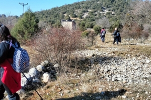SÜTÇÜLER ADADA ANTİK KENTİ KRAL YOLU