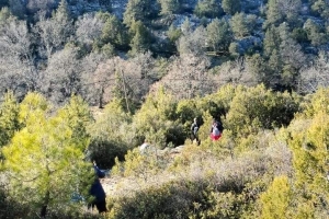 SÜTÇÜLER ADADA ANTİK KENTİ KRAL YOLU