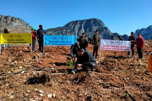 ÇANDIR FİDAN DİKİMİ