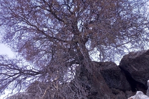 KAPICAK DAĞI ZİRVE