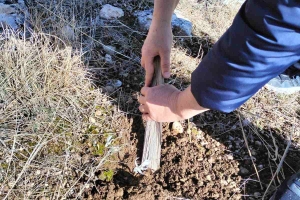 BOZANÖNÜ DAĞI TABİAT ETKİNLİĞİ