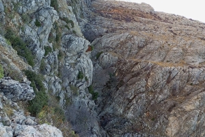 KAPICAK DAĞI ZİRVE