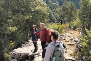SÜTÇÜLER ADADA ANTİK KENTİ KRAL YOLU