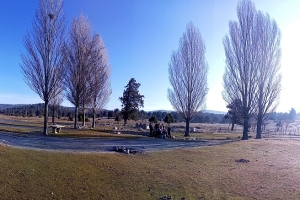 SÜTÇÜLER ADADA ANTİK KENTİ KRAL YOLU