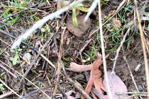 21.01.2024 PAZAR ETKİNLİĞİ