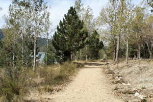 GÖLCÜK SONBAHAR ETKİNLİĞİ