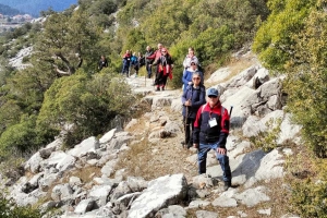 SÜTÇÜLER ADADA ANTİK KENTİ KRAL YOLU