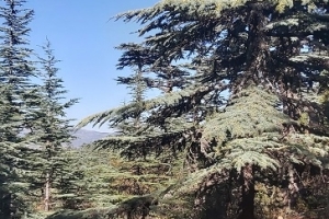 KIZILDAĞ ETKİNLİK RESİMLERİ