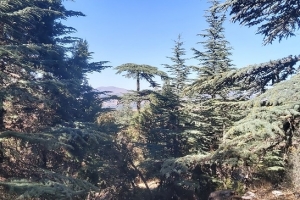 KIZILDAĞ ETKİNLİK RESİMLERİ