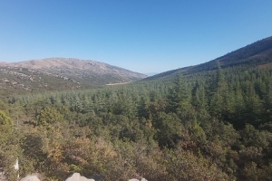 KIZILDAĞ ETKİNLİK RESİMLERİ