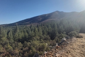 KIZILDAĞ ETKİNLİK RESİMLERİ