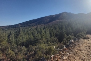 KIZILDAĞ ETKİNLİK RESİMLERİ