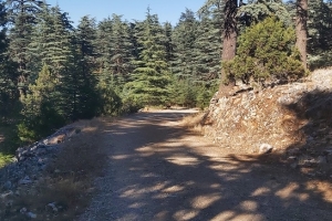 KIZILDAĞ ETKİNLİK RESİMLERİ