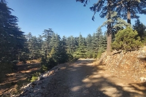 KIZILDAĞ ETKİNLİK RESİMLERİ