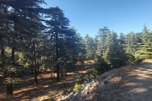 KIZILDAĞ ETKİNLİK RESİMLERİ