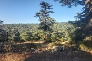 KIZILDAĞ ETKİNLİK RESİMLERİ