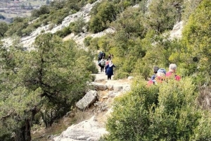 SÜTÇÜLER ADADA ANTİK KENTİ KRAL YOLU