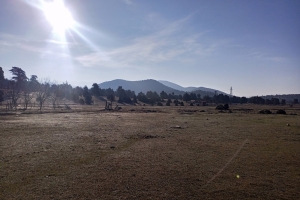 SÜTÇÜLER ADADA ANTİK KENTİ KRAL YOLU
