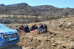 ÇANDIR FİDAN DİKİMİ