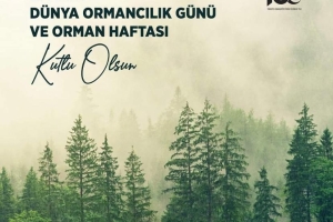 GENEL BAŞKAN ORMAN HAFTASI MESAJI YAYINLADI