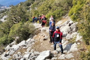SÜTÇÜLER ADADA ANTİK KENTİ KRAL YOLU