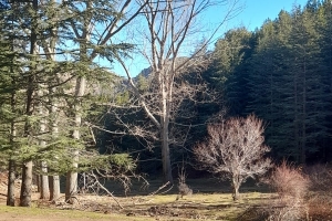 SAGALASSOS ETKİNLİĞİ YAPILDI