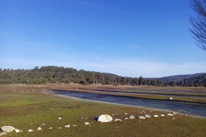 SÜTÇÜLER ADADA ANTİK KENTİ KRAL YOLU