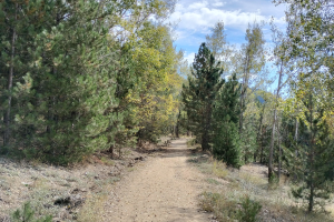 GÖLCÜK SONBAHAR ETKİNLİĞİ