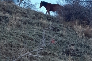 SAGALASSOS ETKİNLİĞİ YAPILDI