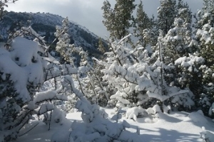 KAYI KÖYÜ ZİRVESİ KARDA EĞİTİM AMAÇLI YÜRÜYÜŞ ETKİNLİĞİ 