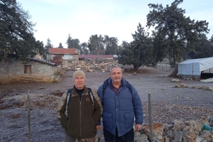 SÜTÇÜLER ADADA ANTİK KENTİ KRAL YOLU