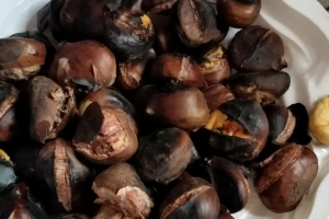 KAYI TEPESİ BURDUR GÖLÜ SEYİR ETKİNLİĞİ