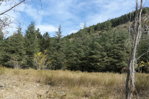 GÖLCÜK SONBAHAR ETKİNLİĞİ